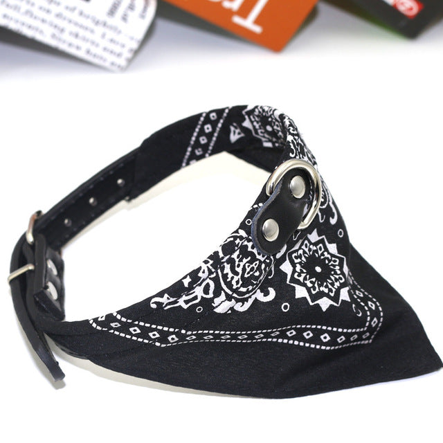 Small Pet Collar PU Adjustable Leather Scar | LIMIT: ONE PER TRANSACTION