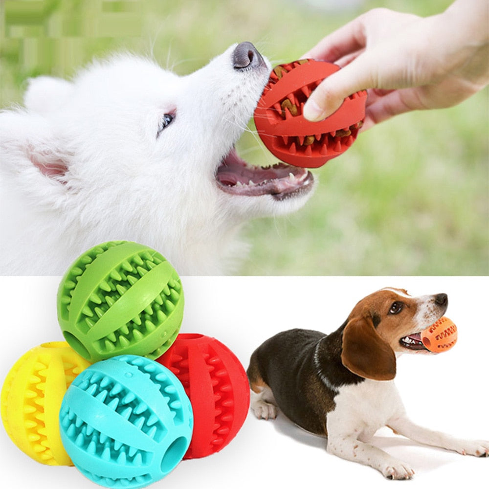 Rubber Balls Chewing Pet Toys | LIMIT: ONE PER TRANSACTION