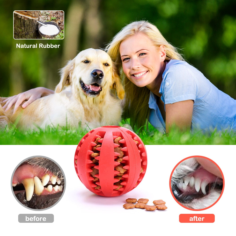 Rubber Balls Chewing Pet Toys | LIMIT: ONE PER TRANSACTION