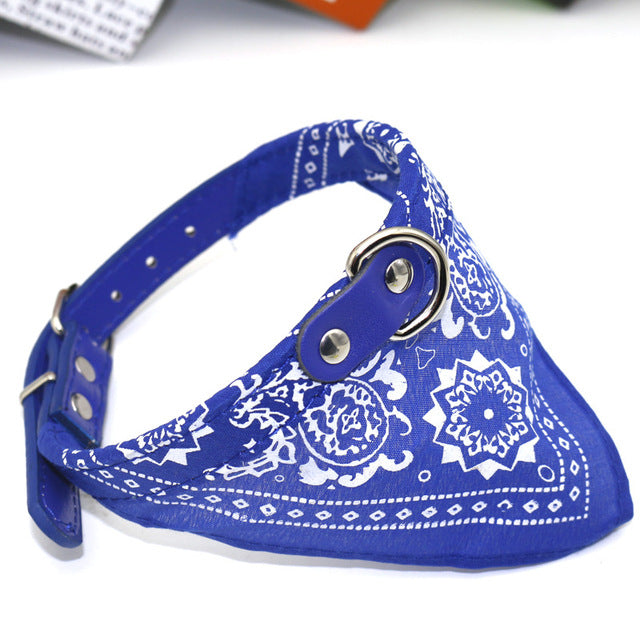 Small Pet Collar PU Adjustable Leather Scar | LIMIT: ONE PER TRANSACTION