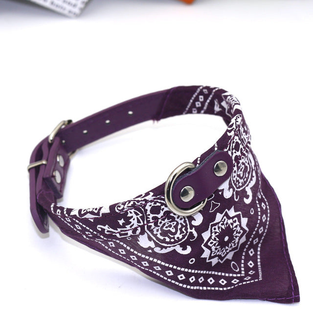 Small Pet Collar PU Adjustable Leather Scar | LIMIT: ONE PER TRANSACTION