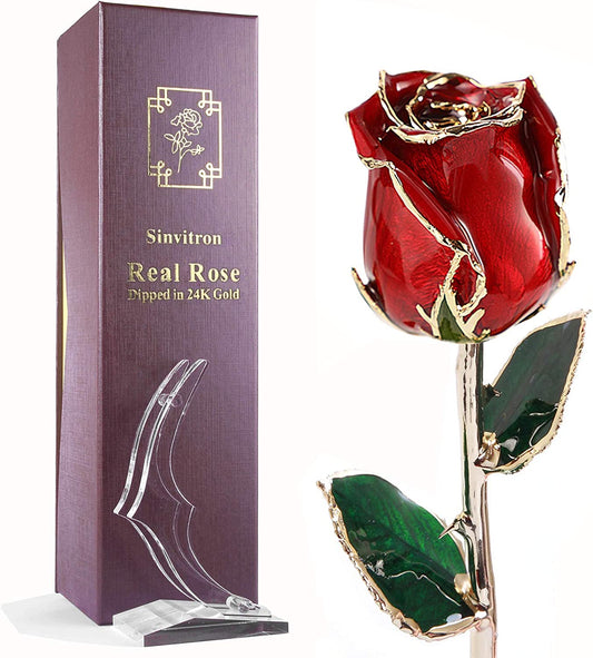 Gold Dipped Rose 24K, Anniversary Valentines Day Gifts for Her, Gold Plated Real Rose Flowers with Stand & Gift Box, Gift for Mom Mothers Day, Graduation Wedding Romantic Gifts for Her (Red)