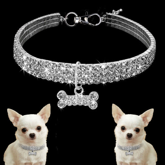 Pet Collar | LIMIT: ONE PER TRANSACTION