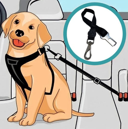 Pet Seatbelt | LIMIT: ONE PER TRANSACTION