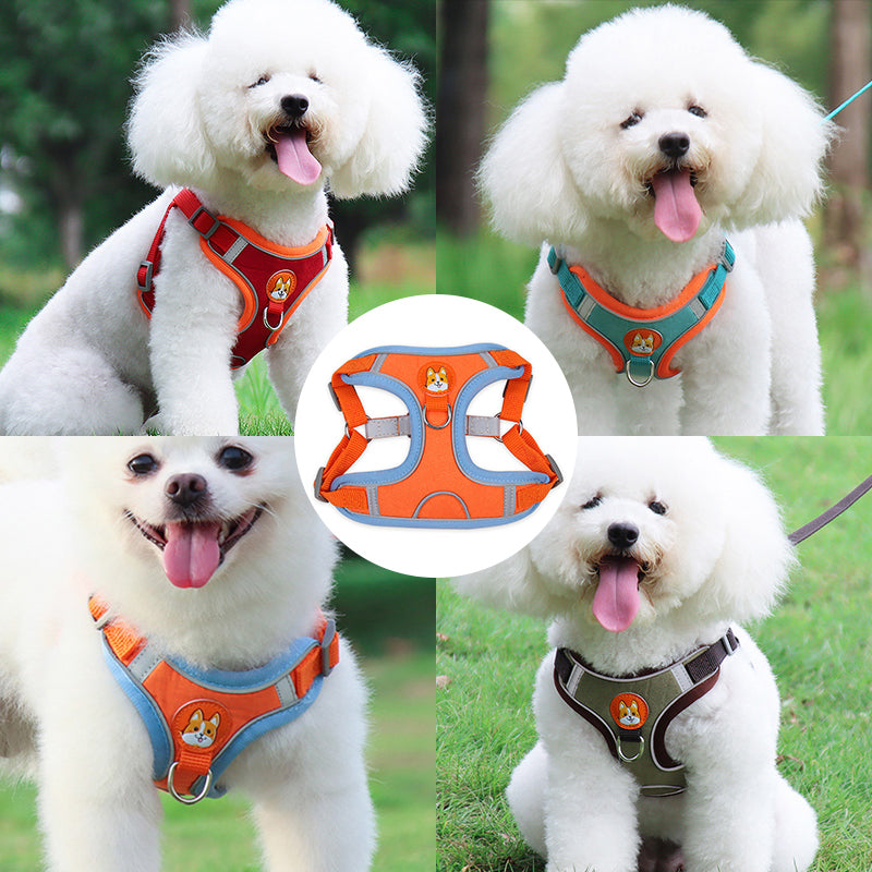 Reflective Pet Harness And Leash Set | LIMIT: ONE PER TRANSACTION