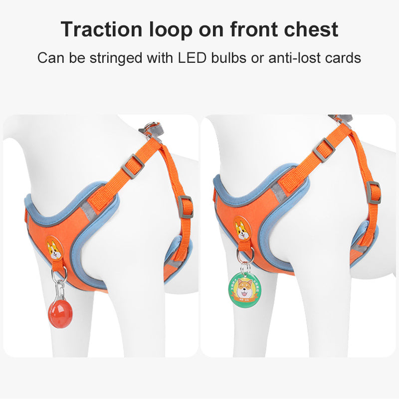 Reflective Pet Harness And Leash Set | LIMIT: ONE PER TRANSACTION