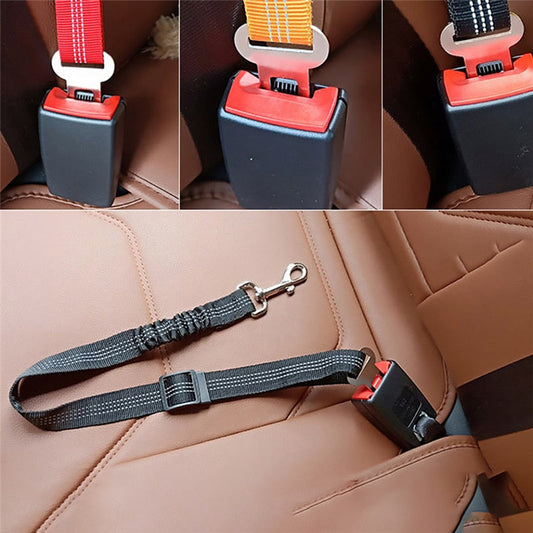 Ride With Me™ Pet Seat Belt | LIMIT: ONE PER TRANSACTION